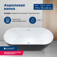 Акриловая ванна 170x78 Aquanet (00289723), овальная