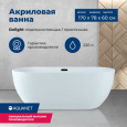 Акриловая ванна 170x78 Aquanet (00208600), овальная