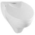 Подвесной унитаз 66641R01 Villeroy Boch Oblic